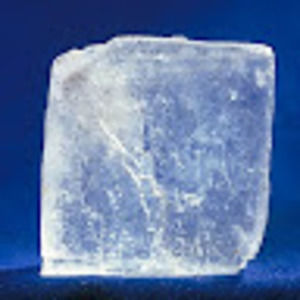 Meet your Posher, Noah